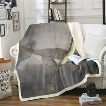 Load image into Gallery viewer, Dinosaur Flannel Fleece Blanket Ancient Animal Theme Throw Blanket for Couch Sofa Wild Animal Dinosaur Printed Bed Throws for Kids Boys Teens,Baby Throw Twin Queen