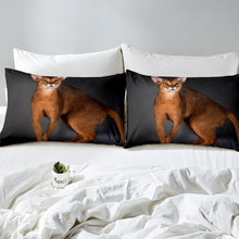 Load image into Gallery viewer, Cat Duvet Cover Set for Kids Boys Girls Pet Cats Pattern Bedding Set Cute Kitten Print Comforter Cover 3D Animal Theme Bedspread Cover,Room Decor 2/3Pcs Bedding