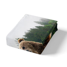 Load image into Gallery viewer, Bear Bedding Set 3D Brown Bear Print Duvet Cover for Kids Boys Teens Wild Animal Pattern Comforter Cover Wildlife forest Bedspread Cover,Room Decor 2/3Pcs Bedding