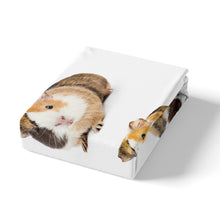 Load image into Gallery viewer, Guinea Pig Bedding Set for Kids Boys Teens Cute Animal Pattern Comforter Cover 3D Mouse Print Duvet Cover Luxury Soft Quilt Cover,Room Decor 2/3Pcs Bedding