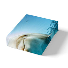 Load image into Gallery viewer, Dolphin Bedding Set for Kids Boys Girls Marine Ocean Animal Comforter Cover 3D Dolphin Print Duvet Cover Underwater Sealife Quilt Cover,Room Decor 2/3Pcs Bedding