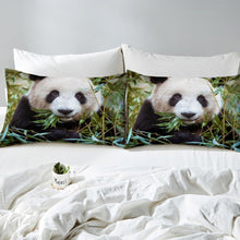 Load image into Gallery viewer, Panda Duvet Cover Set Kids Boys Girls 3D Panda Bear Print Comforter Cover Cute Animal Pattern Bedding Set Ultra Soft Lightweight Quilt Cover,Room Decor 2/3Pcs Bedding