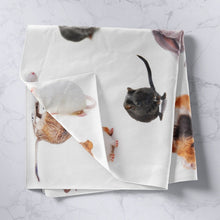 Load image into Gallery viewer, Animal Theme Tapestries Wall Hanging Kids Boys Girls Rabbit Mouse Guinea Pig Bedding Throw Blanket Cute Animal Print Tapestry Luxury Microfiber Wall Blanket,Bedding Collection