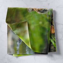 Load image into Gallery viewer, Tiger Wall Blanket Wild Animal Theme Pattern Tapestry Wildlife Style Wall Hanging for Boys Girls Kids Adults Room Decor Nature Theme Wall Art Bedding Throw Blanket