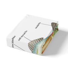 Load image into Gallery viewer, Fish Pattern Bedding Set Fish Anatomy Design Duvet Cover For Kids Children Teens Ocean Marine Theme Comforter Cover Creature Sealife Bedspread Cover Bedroom Decor Quilt Cover 2/3pcs