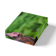 Load image into Gallery viewer, Dog Printed Comforter Cover Cute Pet Dog Bedding Set 3D Animal Theme Duvet Cover for Children Kids Boys Girls Adults Microfiber Pet Dog Puppy Pattern Bedspread Cover Room Decor Bedclothes