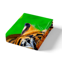 Load image into Gallery viewer, Tiger Duvet Cover Wild Animal Theme Pattern Bedding Set For Kids Women Men Adults Wildlife Style Comforter Cover Orange Safari Cat Decor Bedspread Cover Zipper