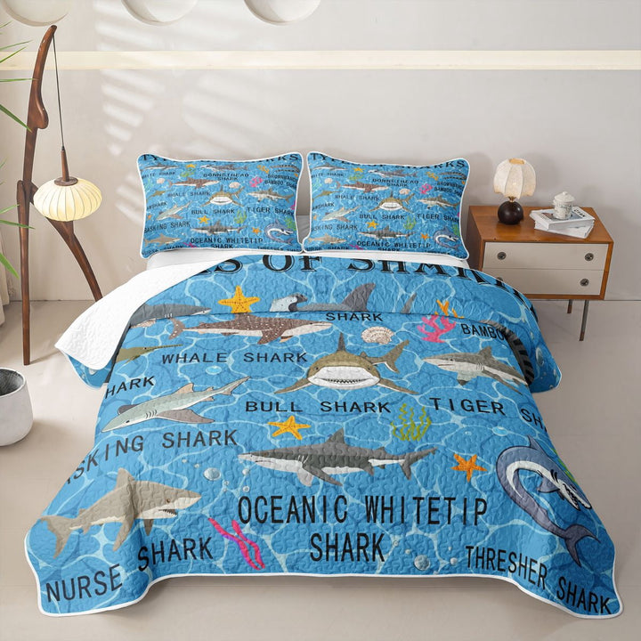 meiyoeat Colorful Shark Educational Quilt Full for Boys Girls, Coral Starfish Marine Wildlife Full Bedspread Sets, Blue, 3 Pieces