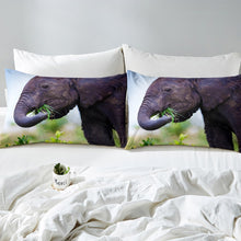 Load image into Gallery viewer, Elephant Duvet Cover Set Kids Boys Teens Wild Animal Pattern Comforter Cover 3D Elephant Print Bedding Set The African Grassland Quilt Cover,Room Decor 2/3Pcs Bedding
